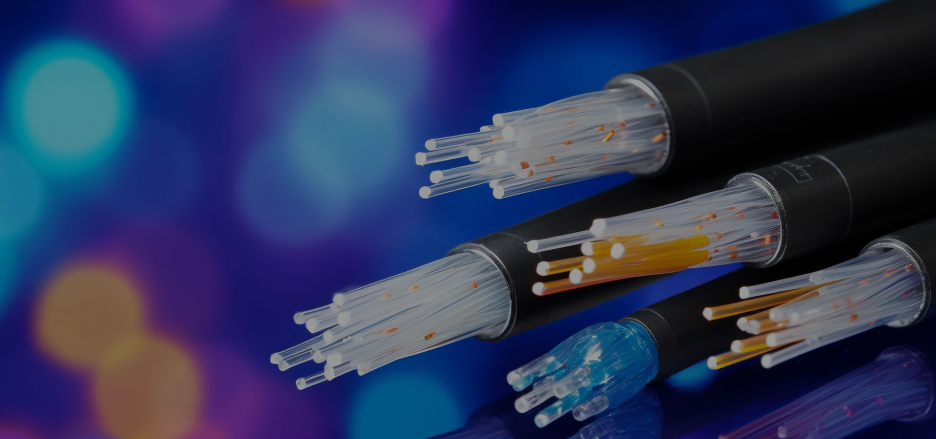 製品とサービス